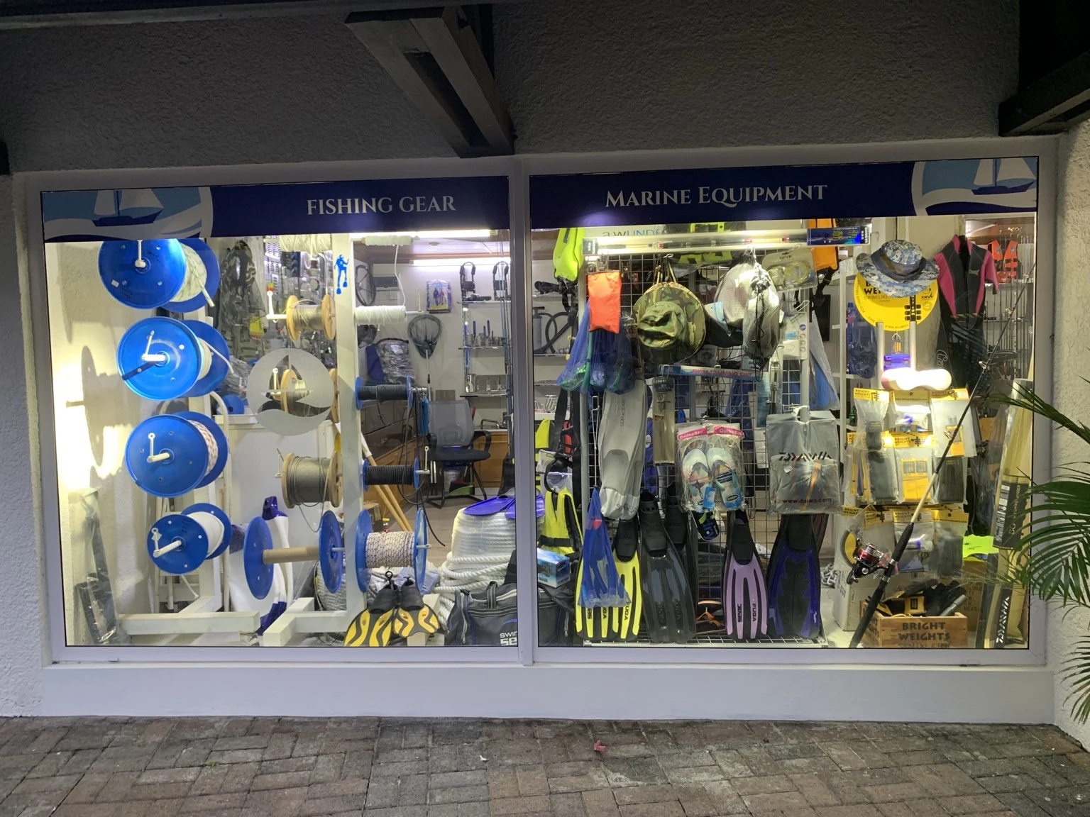 Palmes et équipement dans la vitrine